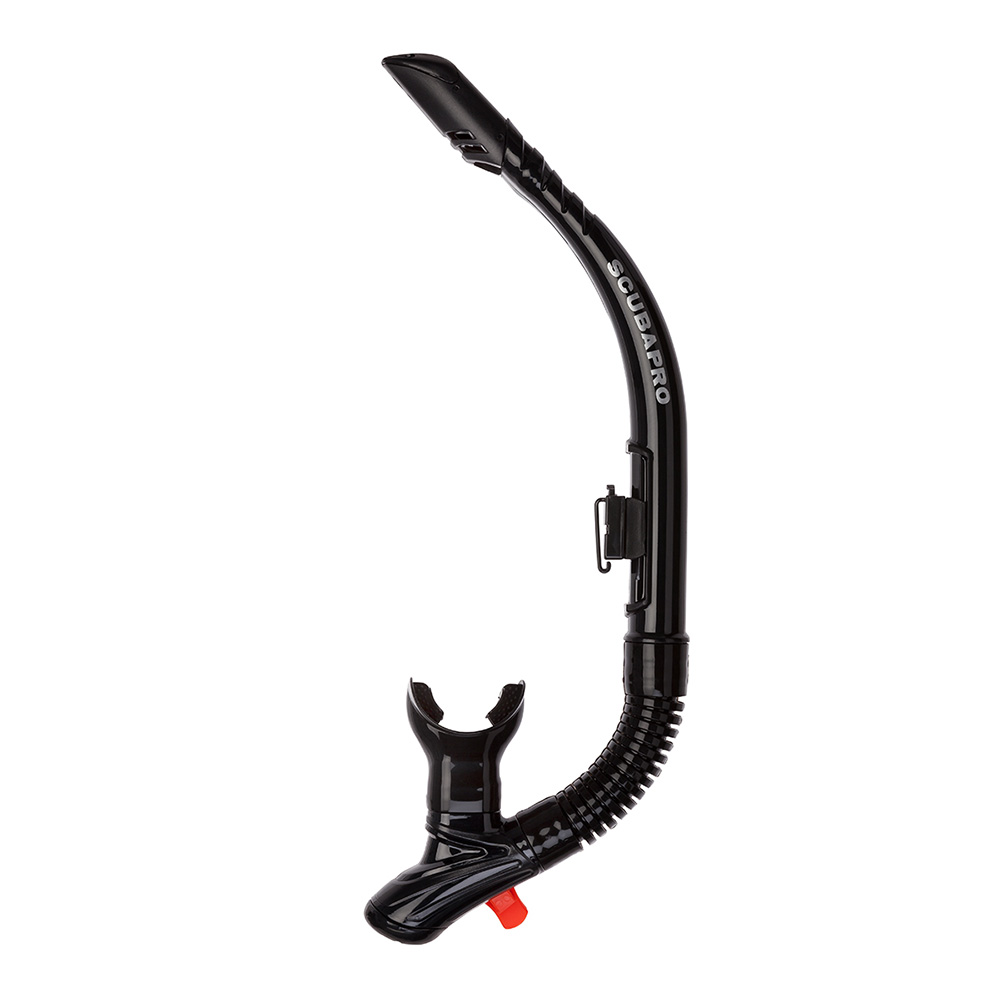 TRINIDAD SNORKEL